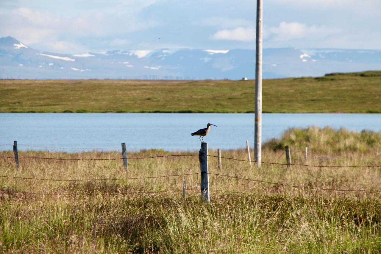 Hótel Bjarkalundur Reykholar Exterior foto